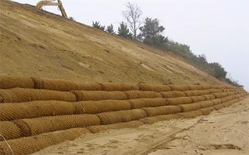 coir logs image