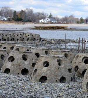 artificial reef image